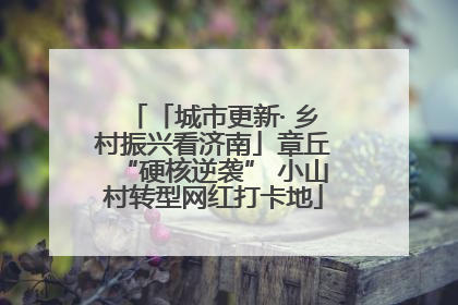 「城市更新· 乡村振兴看济南」章丘“硬核逆袭” 小山村转型网红打卡地