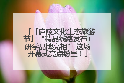 「庐陵文化生态旅游节」“精品线路发布+研学品牌亮相” 这场开幕式亮点纷呈！