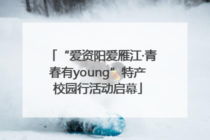 “爱资阳爱雁江·青春有young”特产校园行活动启幕