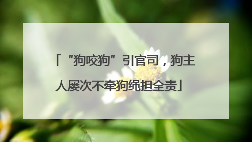 “狗咬狗”引官司，狗主人屡次不牵狗绳担全责