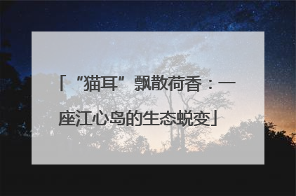 “猫耳”飘散荷香：一座江心岛的生态蜕变