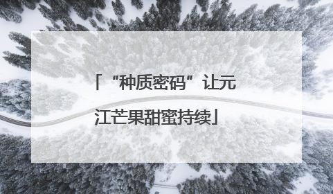 “种质密码”让元江芒果甜蜜持续