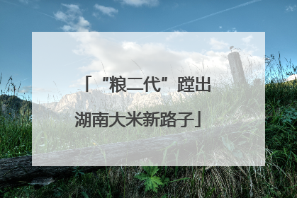 “粮二代”蹚出湖南大米新路子