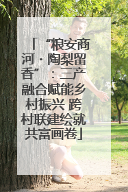 “粮安商河・陶梨留香”：三产融合赋能乡村振兴 跨村联建绘就共富画卷