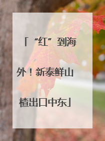 “红”到海外！新泰鲜山楂出口中东