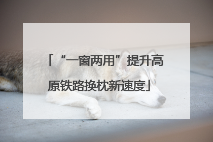 “一窗两用”提升高原铁路换枕新速度