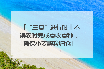 “三夏”进行时丨不误农时完成夏收夏种，确保小麦颗粒归仓