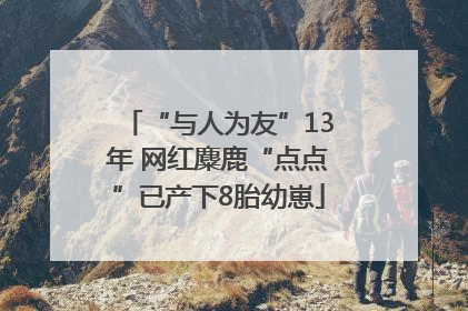 “与人为友”13年 网红麋鹿“点点”已产下8胎幼崽