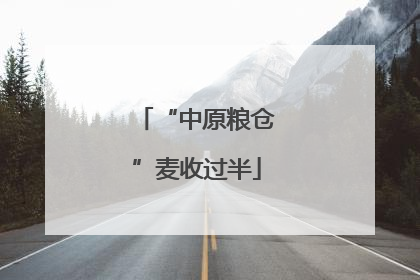 “中原粮仓”麦收过半