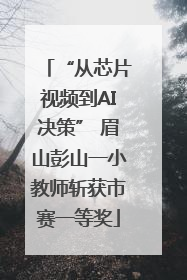 “从芯片视频到AI决策” 眉山彭山一小教师斩获市赛一等奖