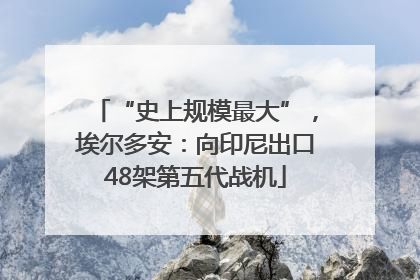 “史上规模最大”，埃尔多安：向印尼出口48架第五代战机