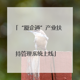“厦企通”产业扶持管理系统上线