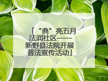 “典”亮五月 法润社区——新野县法院开展普法宣传活动