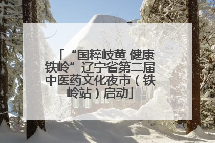 “国粹岐黄 健康铁岭”辽宁省第二届中医药文化夜市（铁岭站）启动