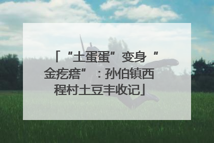 “土蛋蛋”变身“金疙瘩”：孙伯镇西程村土豆丰收记