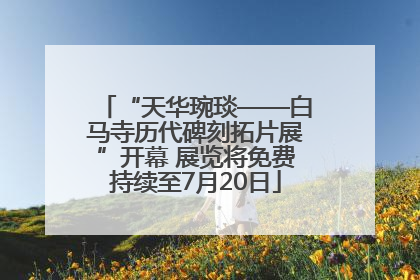 “天华琬琰——白马寺历代碑刻拓片展”开幕 展览将免费持续至7月20日