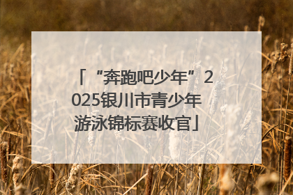 “奔跑吧少年”2025银川市青少年游泳锦标赛收官