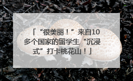 “很美丽！”来自10多个国家的留学生“沉浸式”打卡桃花山！