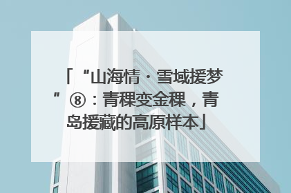 “山海情・雪域援梦”⑧:青稞变金稞,青岛援藏的高原样本