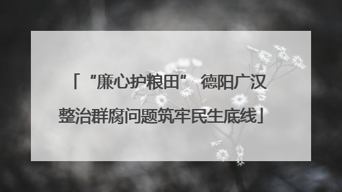 “廉心护粮田” 德阳广汉整治群腐问题筑牢民生底线