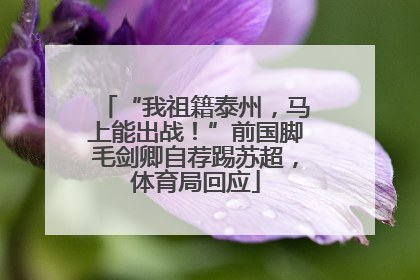 “我祖籍泰州，马上能出战！”前国脚毛剑卿自荐踢苏超，体育局回应