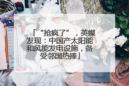 “抢疯了”，英媒发现：中国产太阳能和风能发电设施，备受邻国热捧