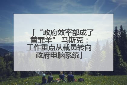 “政府效率部成了替罪羊” 马斯克：工作重点从裁员转向政府电脑系统