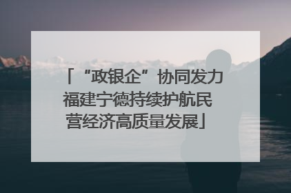 “政银企”协同发力 福建宁德持续护航民营经济高质量发展