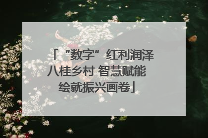 “数字”红利润泽八桂乡村 智慧赋能绘就振兴画卷