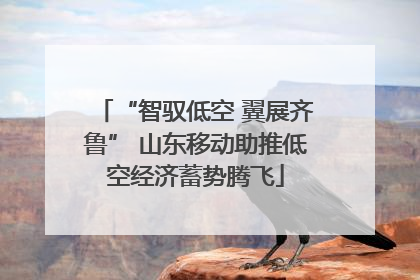 “智驭低空 翼展齐鲁” 山东移动助推低空经济蓄势腾飞