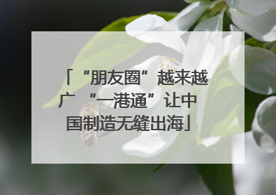 “朋友圈”越来越广 “一港通”让中国制造无缝出海