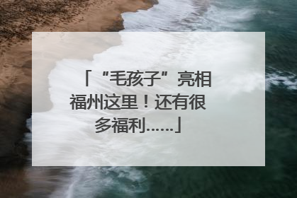 “毛孩子”亮相福州这里！还有很多福利……