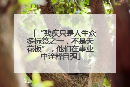 “残疾只是人生众多标签之一，不是天花板”，他们在事业中诠释自强