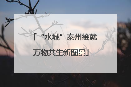 “水城”泰州绘就万物共生新图景
