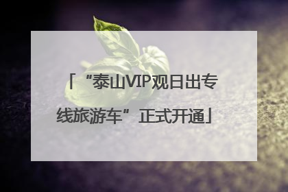 “泰山VIP观日出专线旅游车”正式开通
