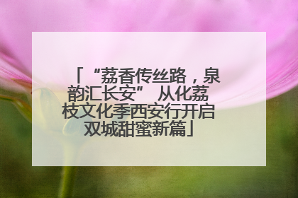 “荔香传丝路，泉韵汇长安” 从化荔枝文化季西安行开启双城甜蜜新篇