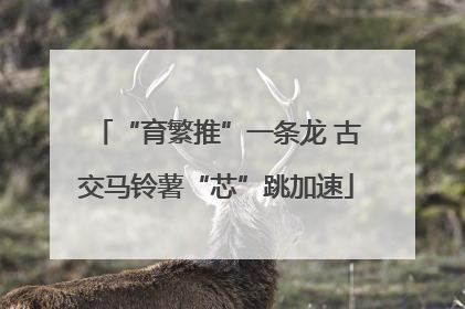 “育繁推”一条龙 古交马铃薯“芯”跳加速