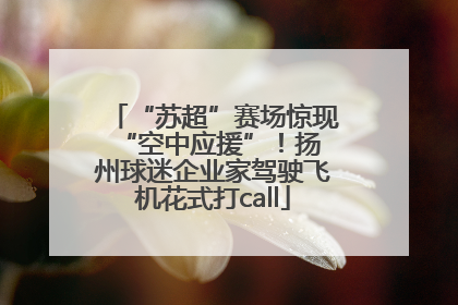 “苏超”赛场惊现 “空中应援”！扬州球迷企业家驾驶飞机花式打call