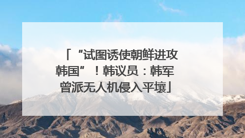 “试图诱使朝鲜进攻韩国”！韩议员：韩军曾派无人机侵入平壤