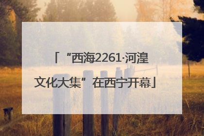 “西海2261·河湟文化大集”在西宁开幕