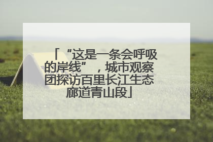 “这是一条会呼吸的岸线”，城市观察团探访百里长江生态廊道青山段