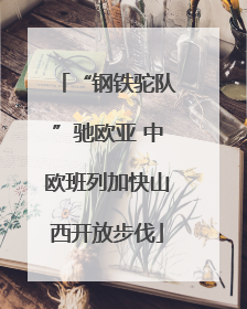 “钢铁驼队”驰欧亚 中欧班列加快山西开放步伐