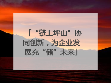 “链上坪山”协同创新，为企业发展充“储”未来