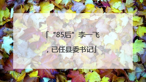 “85后”李一飞，已任县委书记