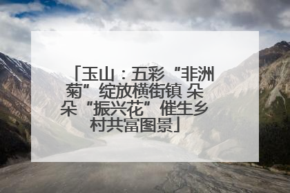 玉山：五彩“非洲菊”绽放横街镇 朵朵“振兴花”催生乡村共富图景