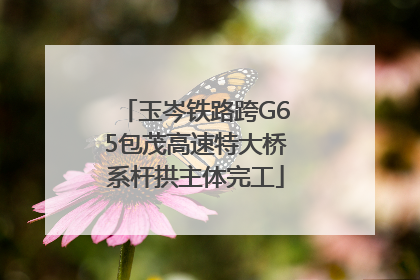 玉岑铁路跨G65包茂高速特大桥系杆拱主体完工