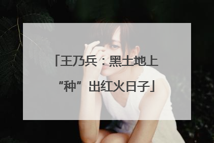 王乃兵：黑土地上“种”出红火日子