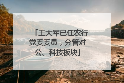 王大军已任农行党委委员，分管对公、科技板块