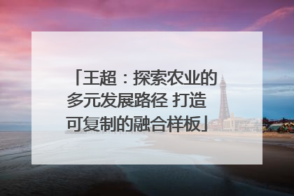 王超：探索农业的多元发展路径 打造可复制的融合样板