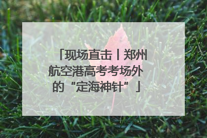 现场直击丨郑州航空港高考考场外的“定海神针”